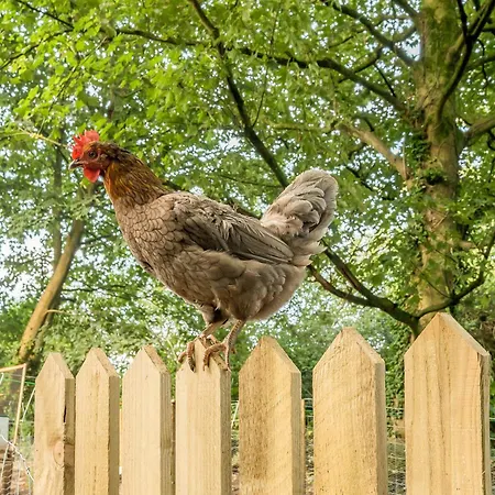 Eden House * Ulverston