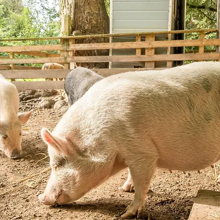 Eden House Tatil Evi Ulverston