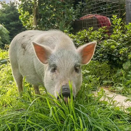 Eden House Ulverston