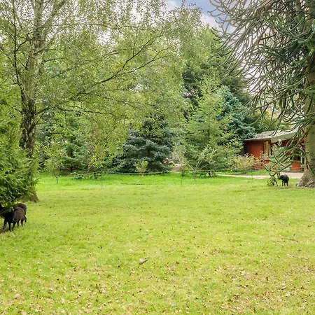 Eden House Tatil Evi