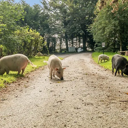 Eden House Ulverston