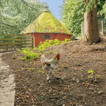 Eden House Holiday home