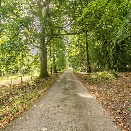 Tatil Evi Eden House *