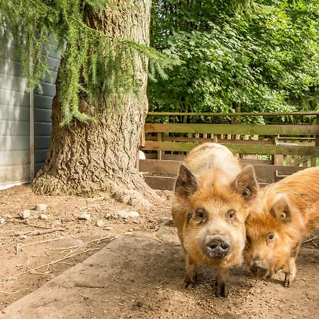 Eden House * Ulverston