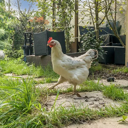 Tatil Evi Eden House