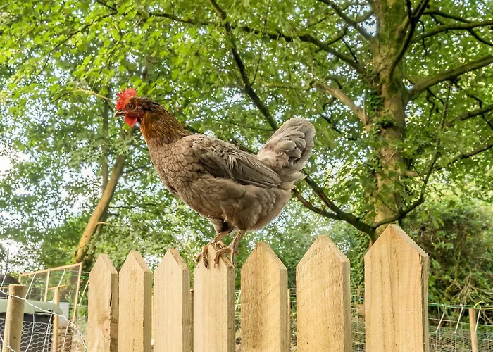 Eden House * Ulverston