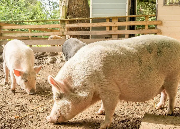 Eden House Holiday home Ulverston