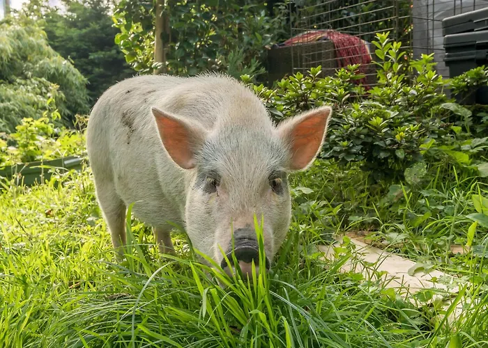 Eden House Ulverston