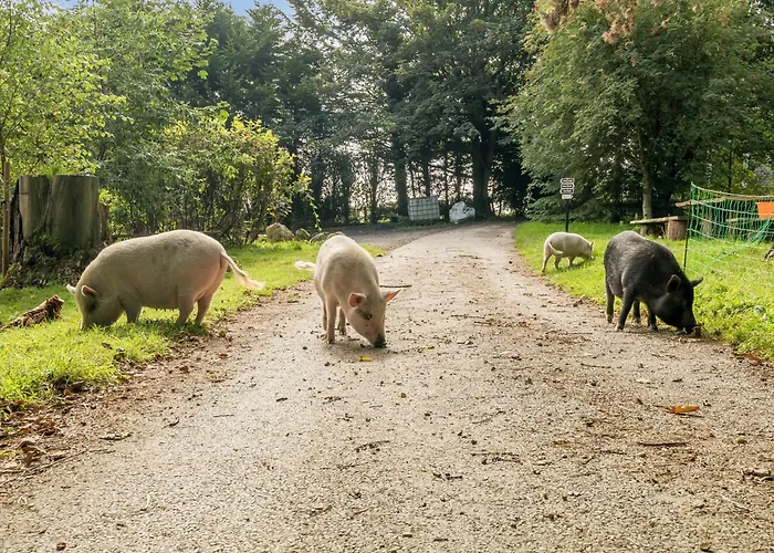 Eden House Ulverston