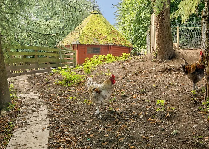 Eden House Holiday home