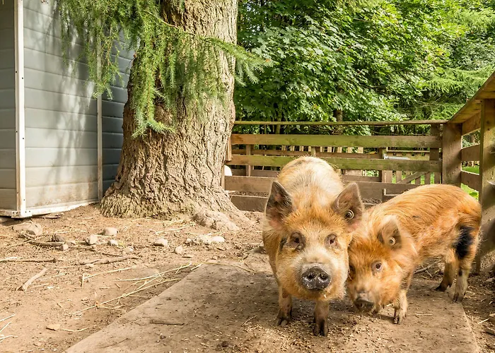 Eden House * Ulverston