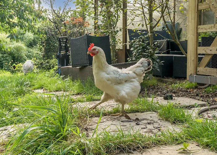 Holiday home Eden House