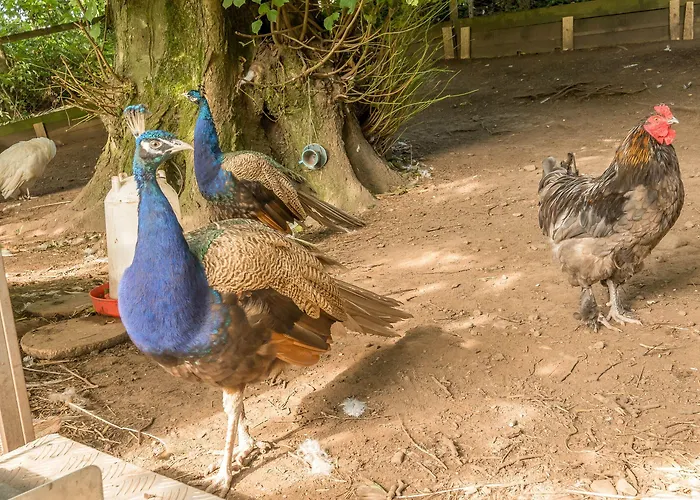 Holiday home Eden House